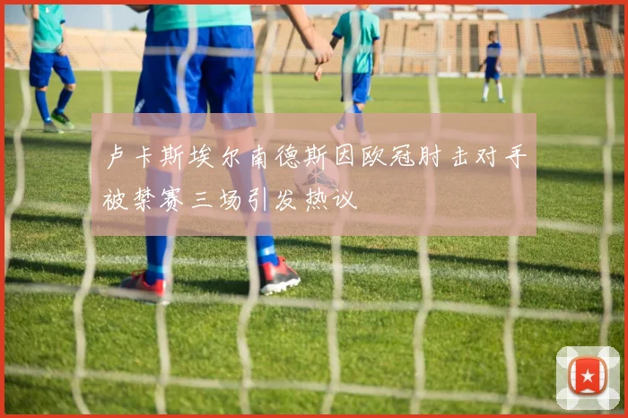 卢卡斯埃尔南德斯因欧冠肘击对手被禁赛三场引发热议