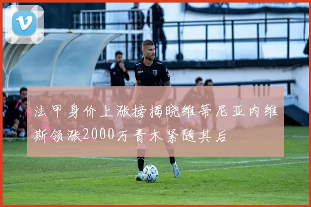 法甲身价上涨榜揭晓维蒂尼亚内维斯领涨2000万青木紧随其后